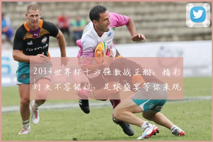 2014世界杯十六强激战正酣，精彩对决不容错过，足球盛宴等你来观