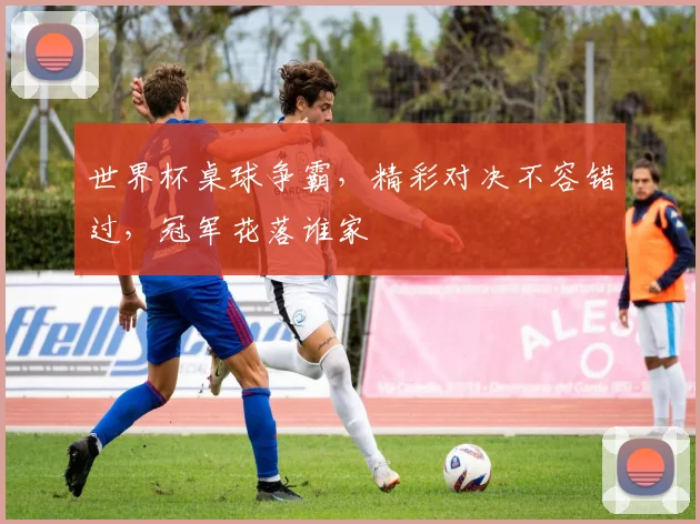 世界杯桌球争霸，精彩对决不容错过，冠军花落谁家