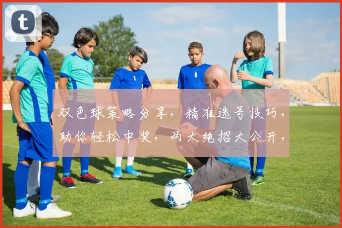 双色球策略分享，精准选号技巧，助你轻松中奖，两大绝招大公开，不容错过
