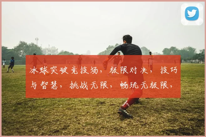 冰球突破竞技场，极限对决，技巧与智慧，挑战无限，畅玩无极限，体验非凡冰球游戏乐趣